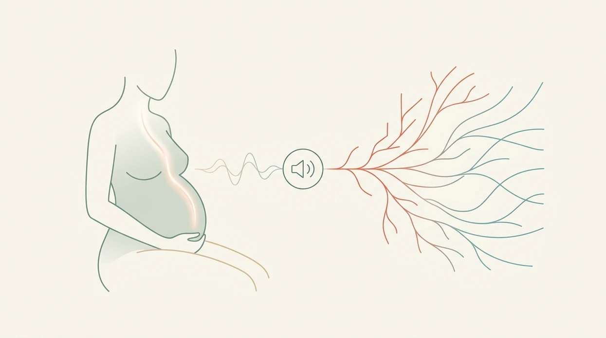 pregnancy meditation nervous system how pregnancy guided meditatio